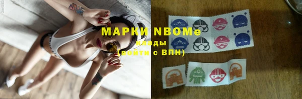 шишки Заволжье