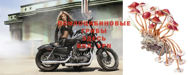 гашиш Зеленокумск