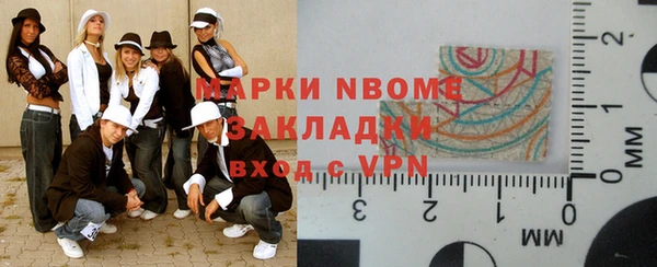 шишки Заволжье