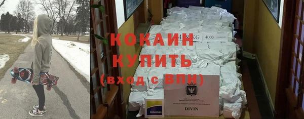 шишки Заволжье